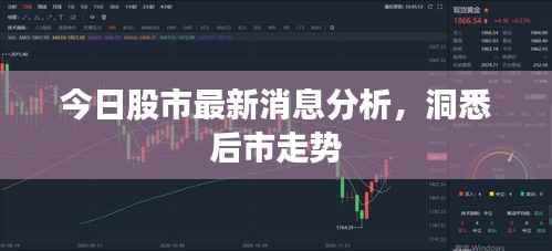 今日股市最新消息分析，洞悉后市走势