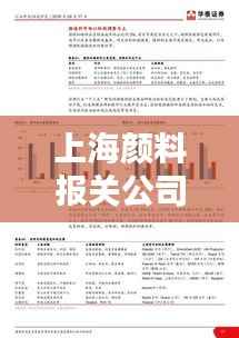 上海颜料报关公司排名揭秘,行业深度分析报告