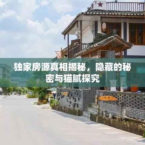 独家房源真相揭秘，隐藏的秘密与猫腻探究