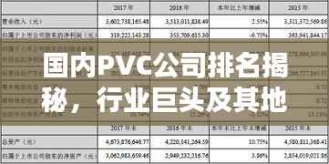 国内PVC公司排名揭秘,行业巨头及其地位概览